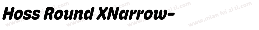 Hoss Round XNarrow字体转换